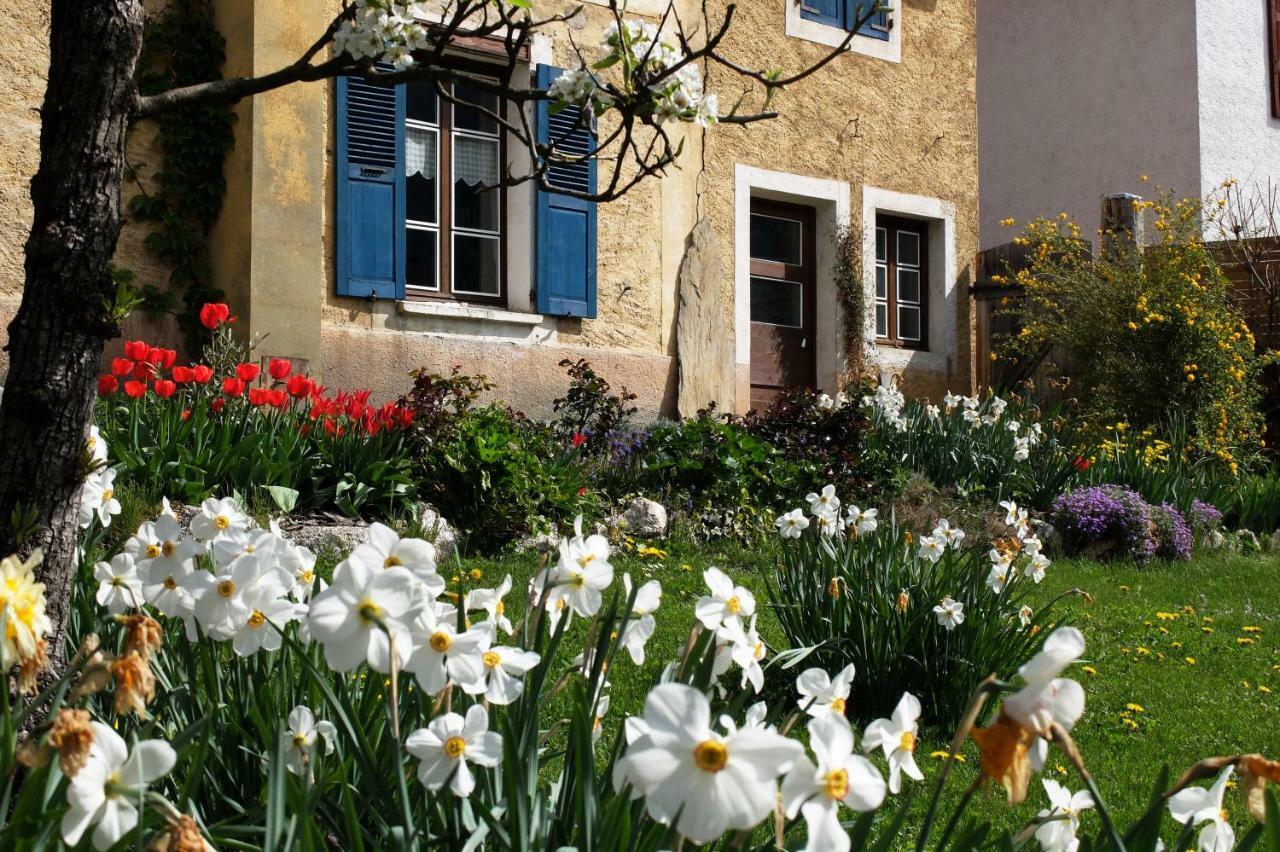 La Foyere Bed & Breakfast La Plagne Bagian luar foto